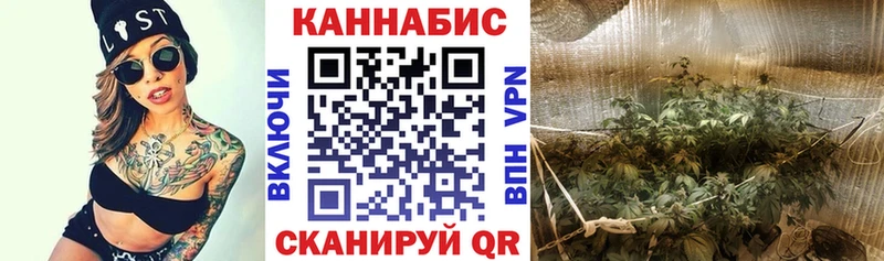 даркнет сайт  Камешково  Канабис Amnesia 